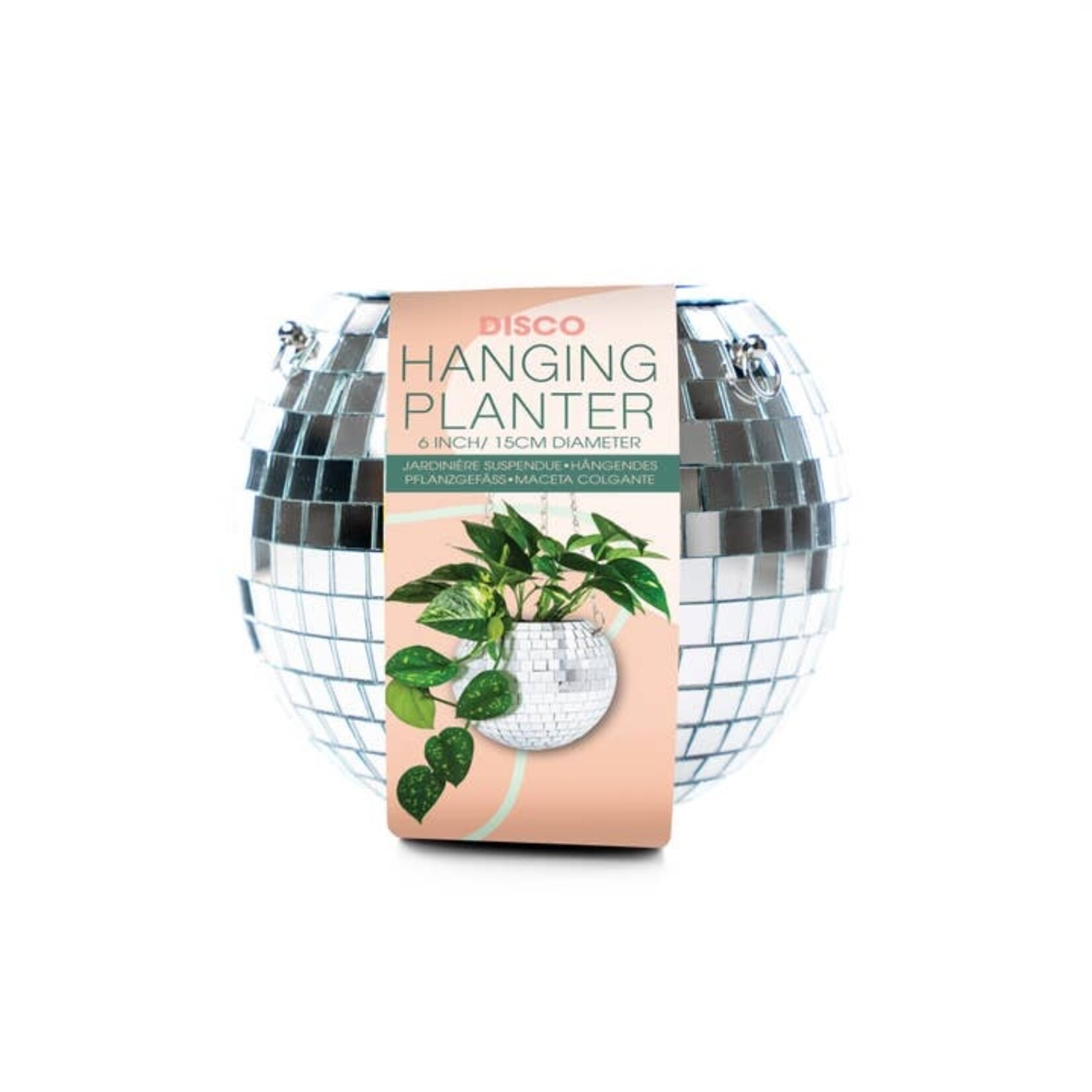 NPW Disco Hanging Planter