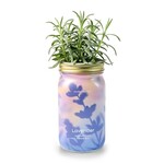 Modern Sprout Lavender Garden Jar