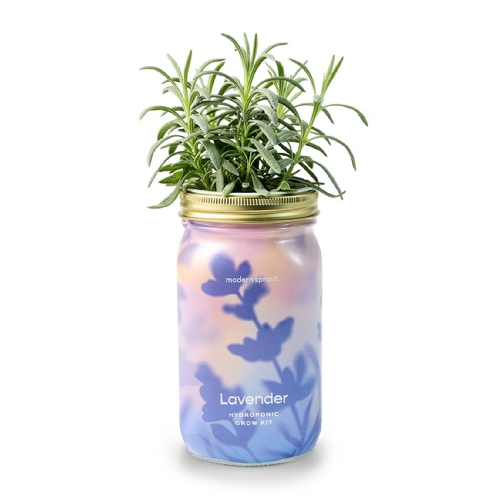 Modern Sprout Lavender Garden Jar