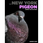 The New York Pigeon : Behind the Feathers