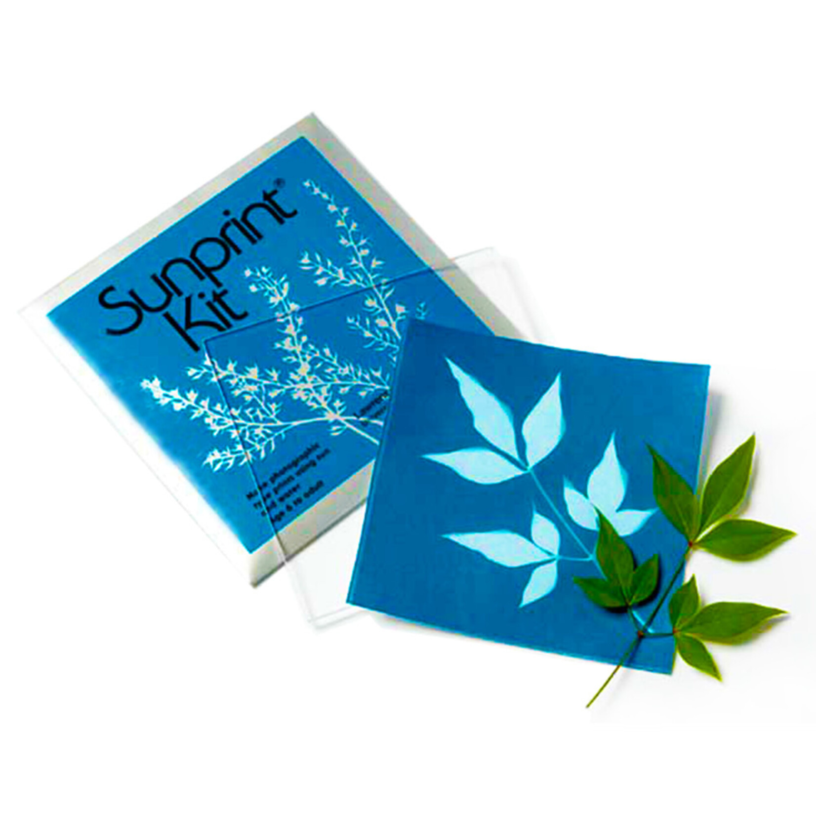 Sunprint Kit