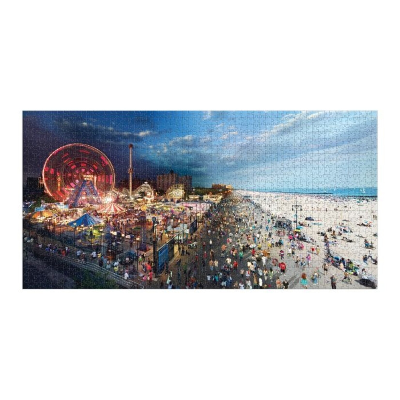 Chronicle Books Stephen Wilkes Day to Night Coney Island Puzzle