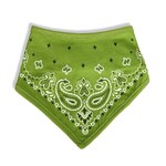 Bandana Bib in Pickles