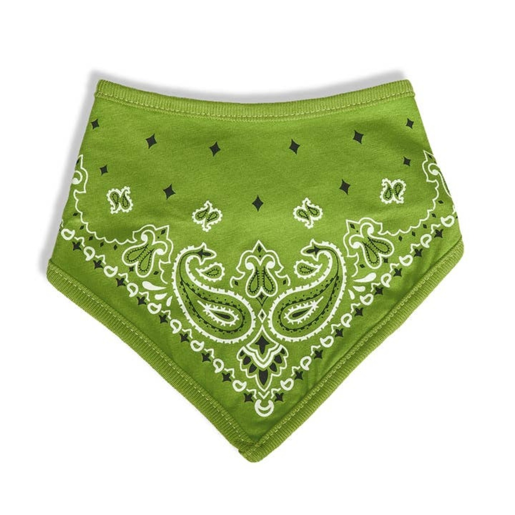 Bandana Bib in Pickles