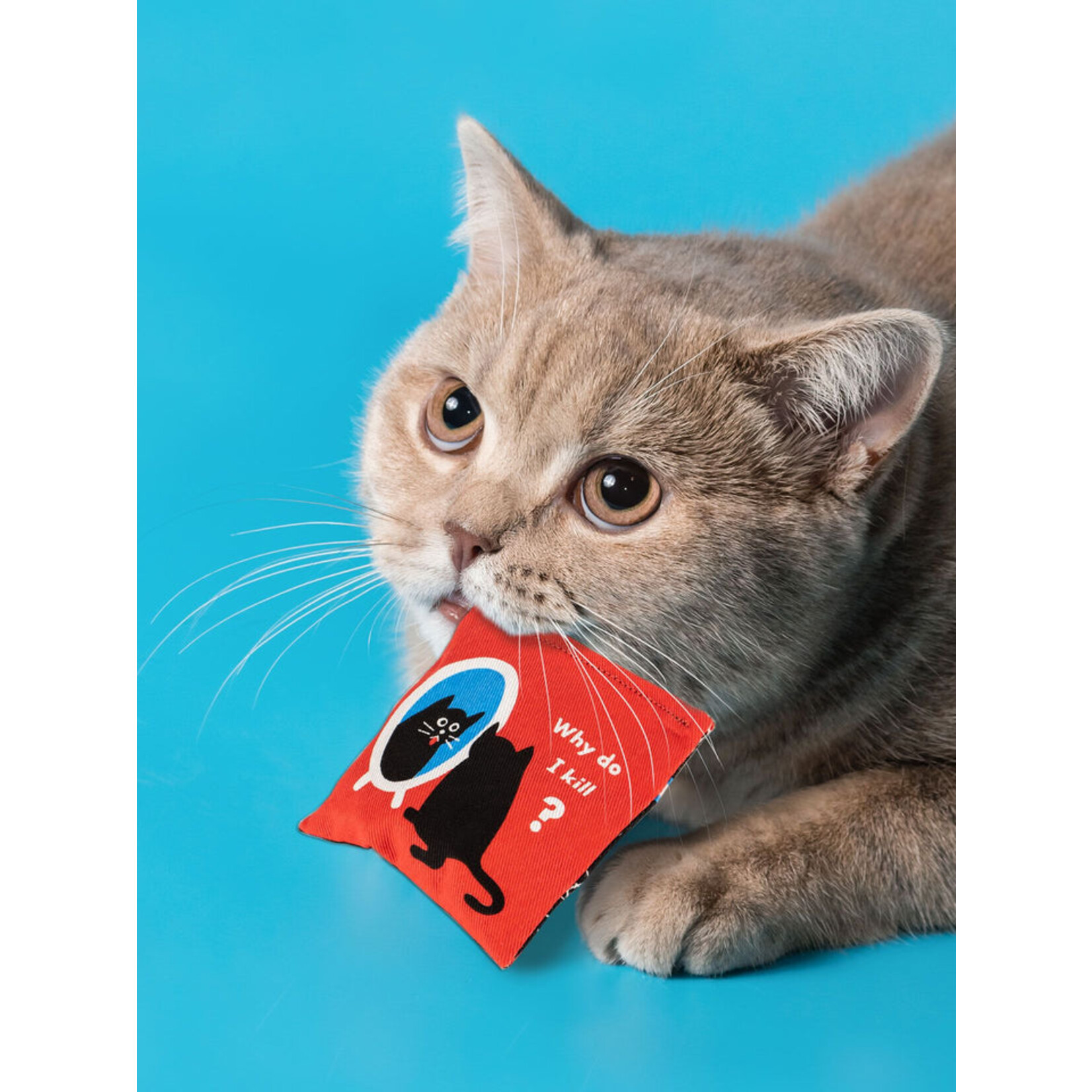 Blue Q Existential Kitty Cat Nip Toy