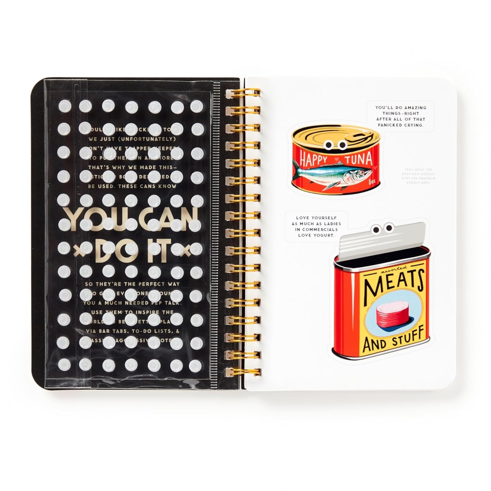 Chronicle Books You Can Do It Googly Sticker Book