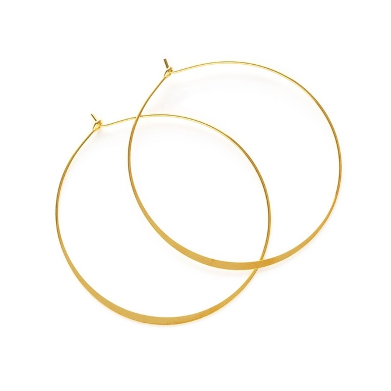 Flattened Round Hoop Earrings in Gold