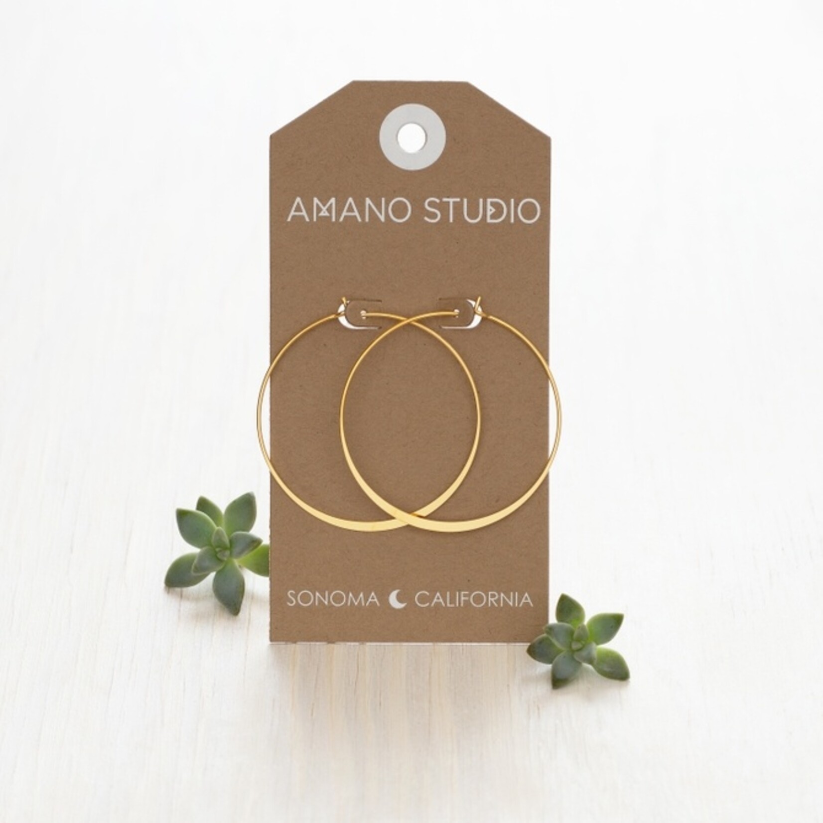 Flattened Round Hoop Earrings in Gold