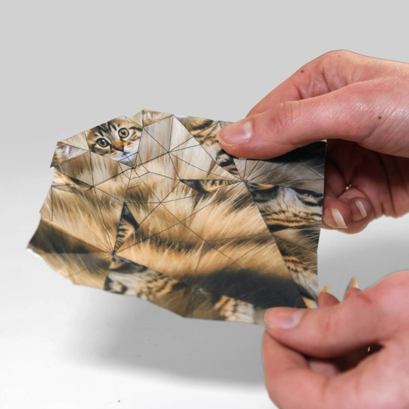 Paper Cats Origami