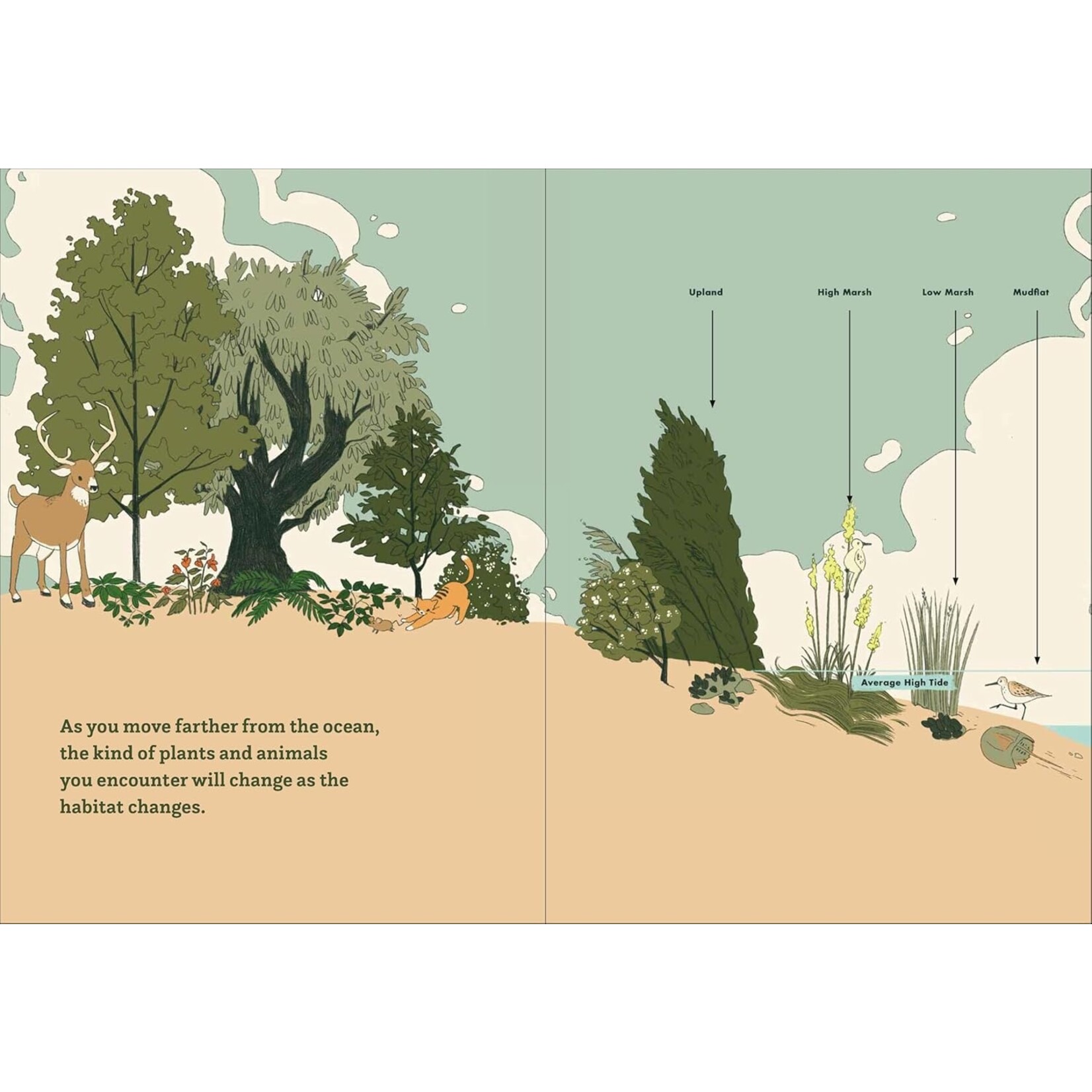 Hachette Wild NYC : Nature in and around NYC