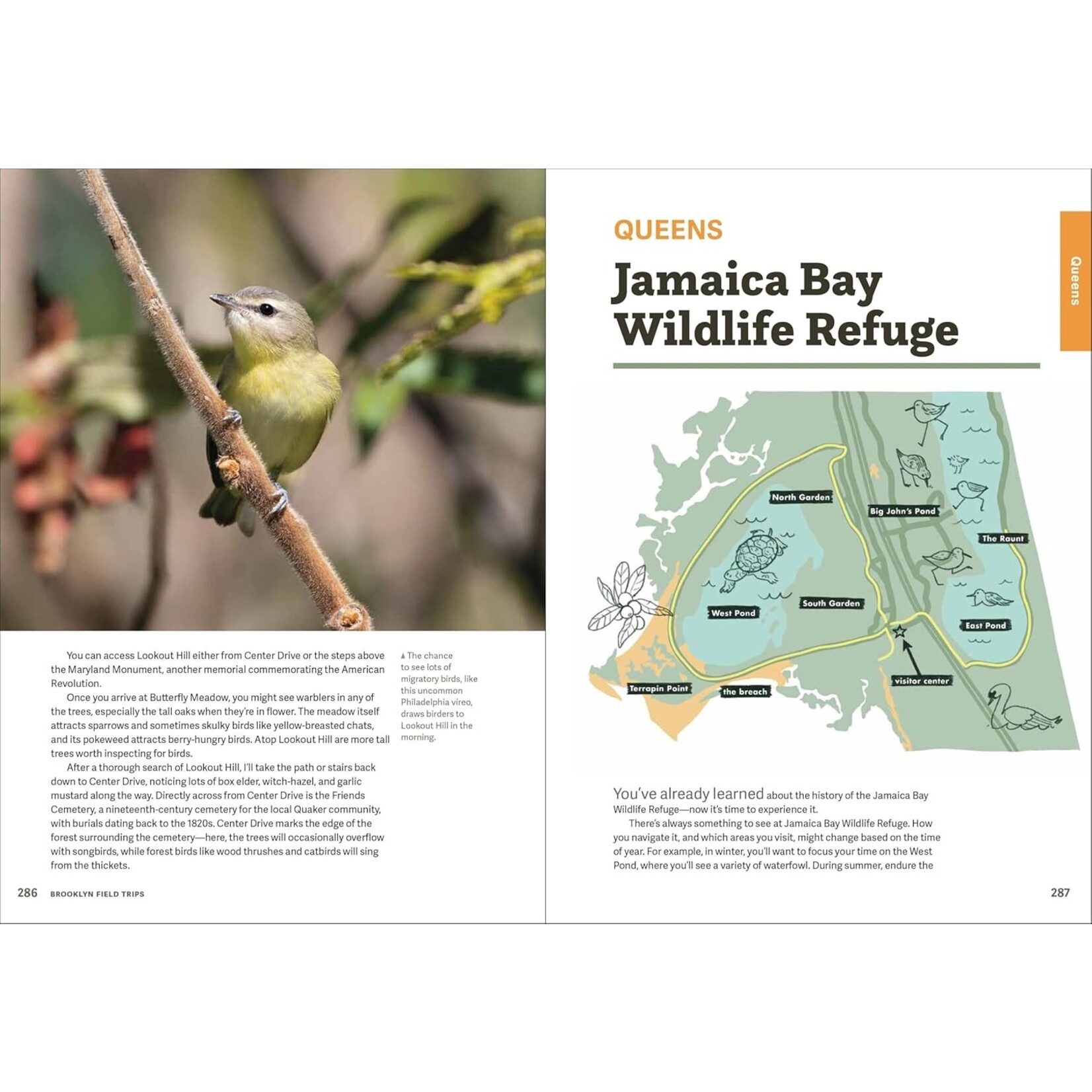 Hachette Wild NYC : Nature in and around NYC