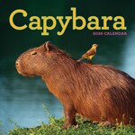 Workman Publishing Capybara Wall Calendar 2026