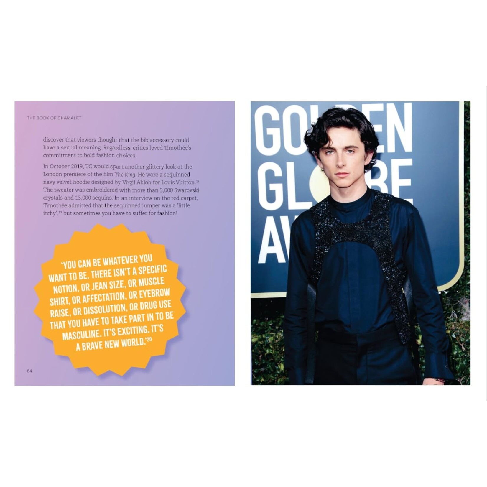 Hachette The Book of Chalamet