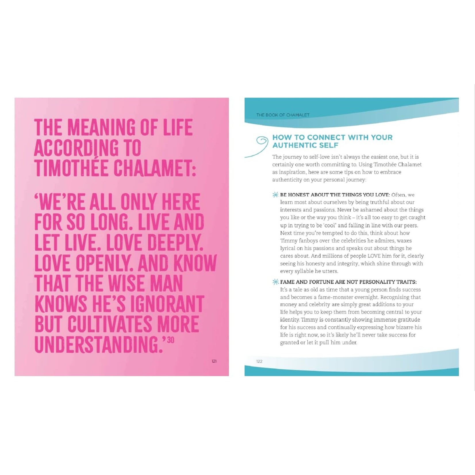 Hachette The Book of Chalamet