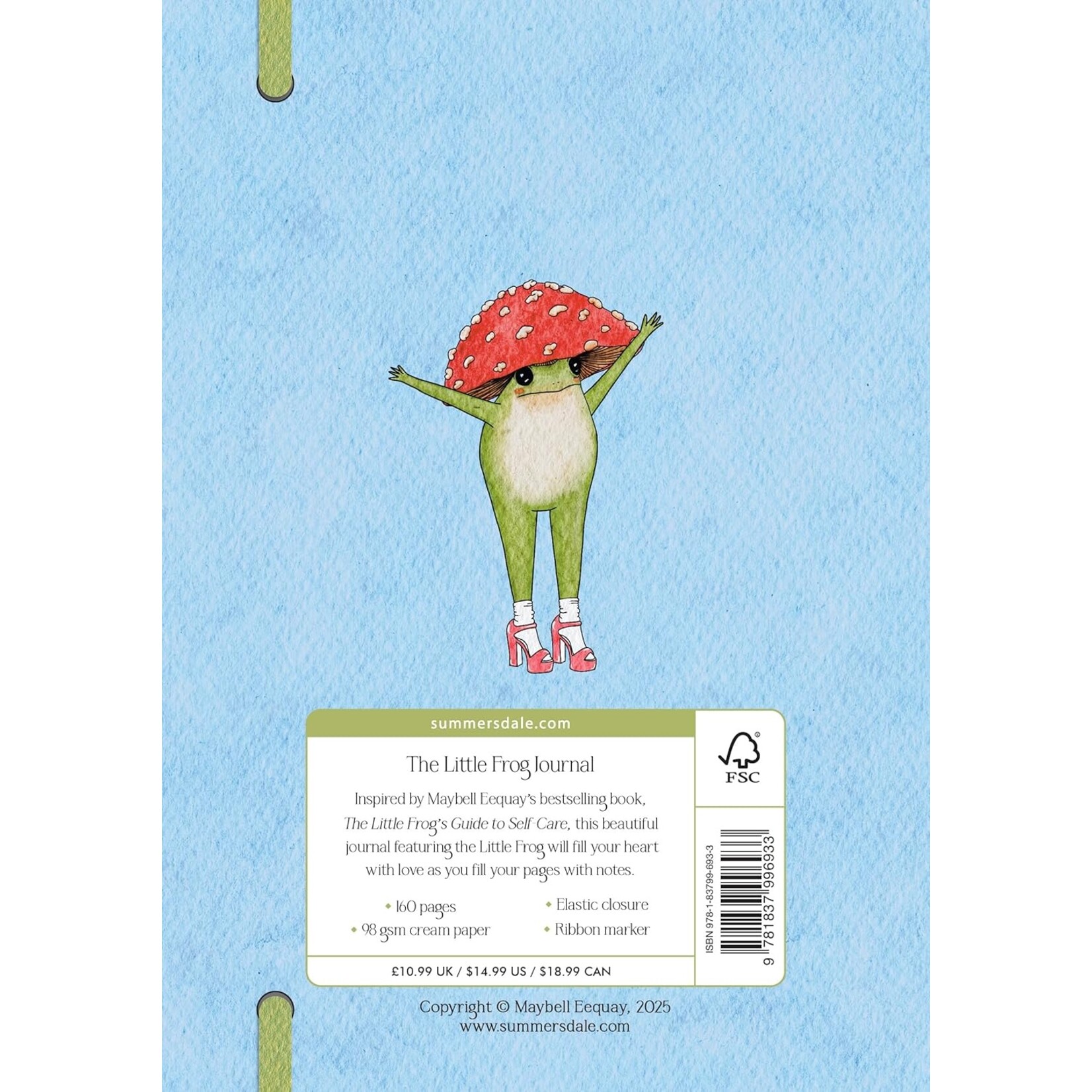 Hachette The Little Frog Journal