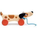 Puppy on Wheels