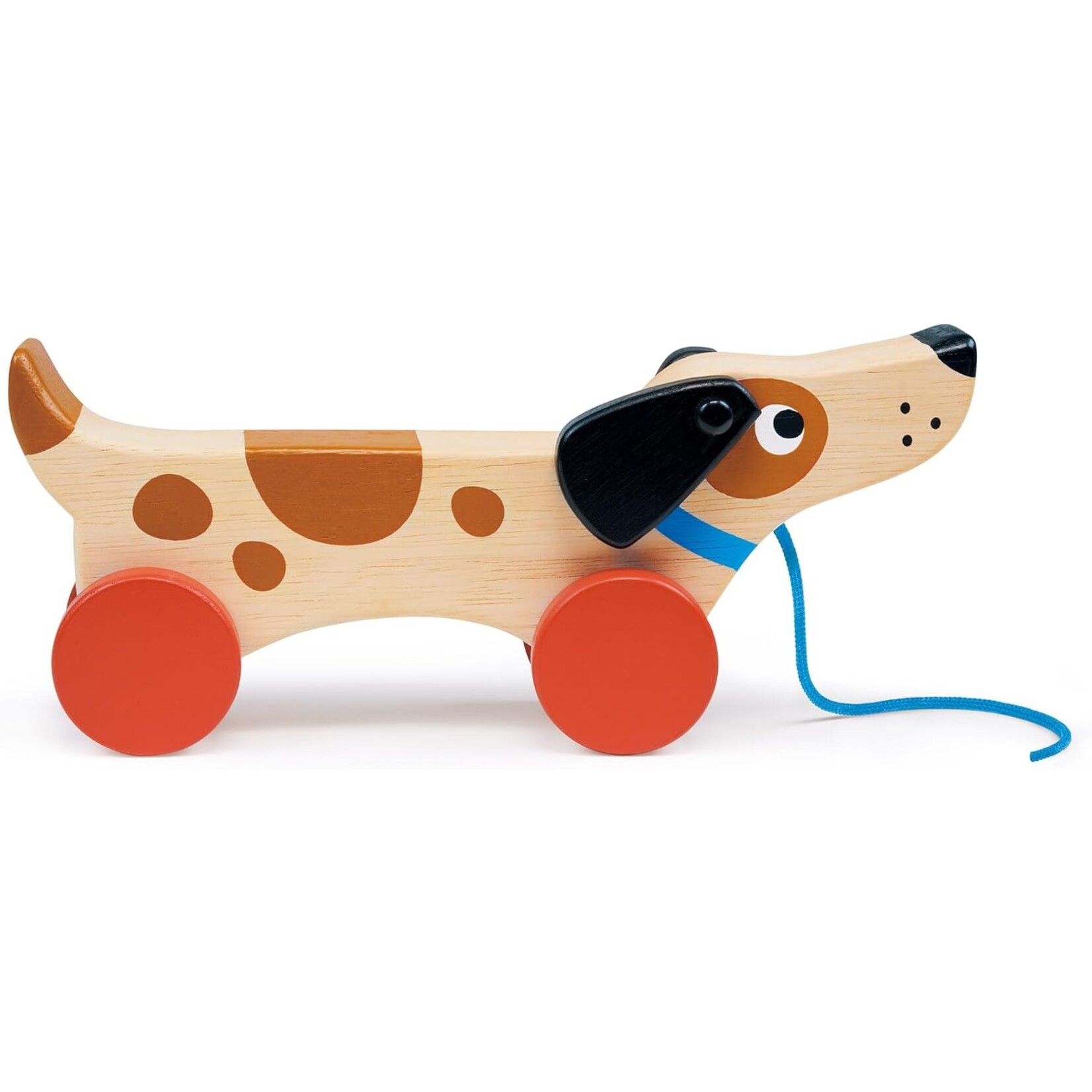 Puppy on Wheels