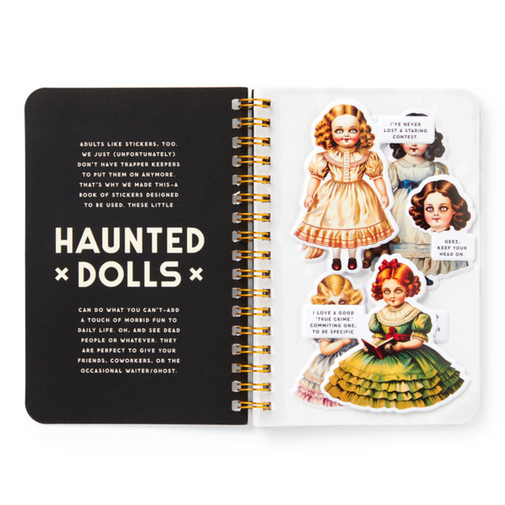 Chronicle Books Haunted Dolls Sticker Book
