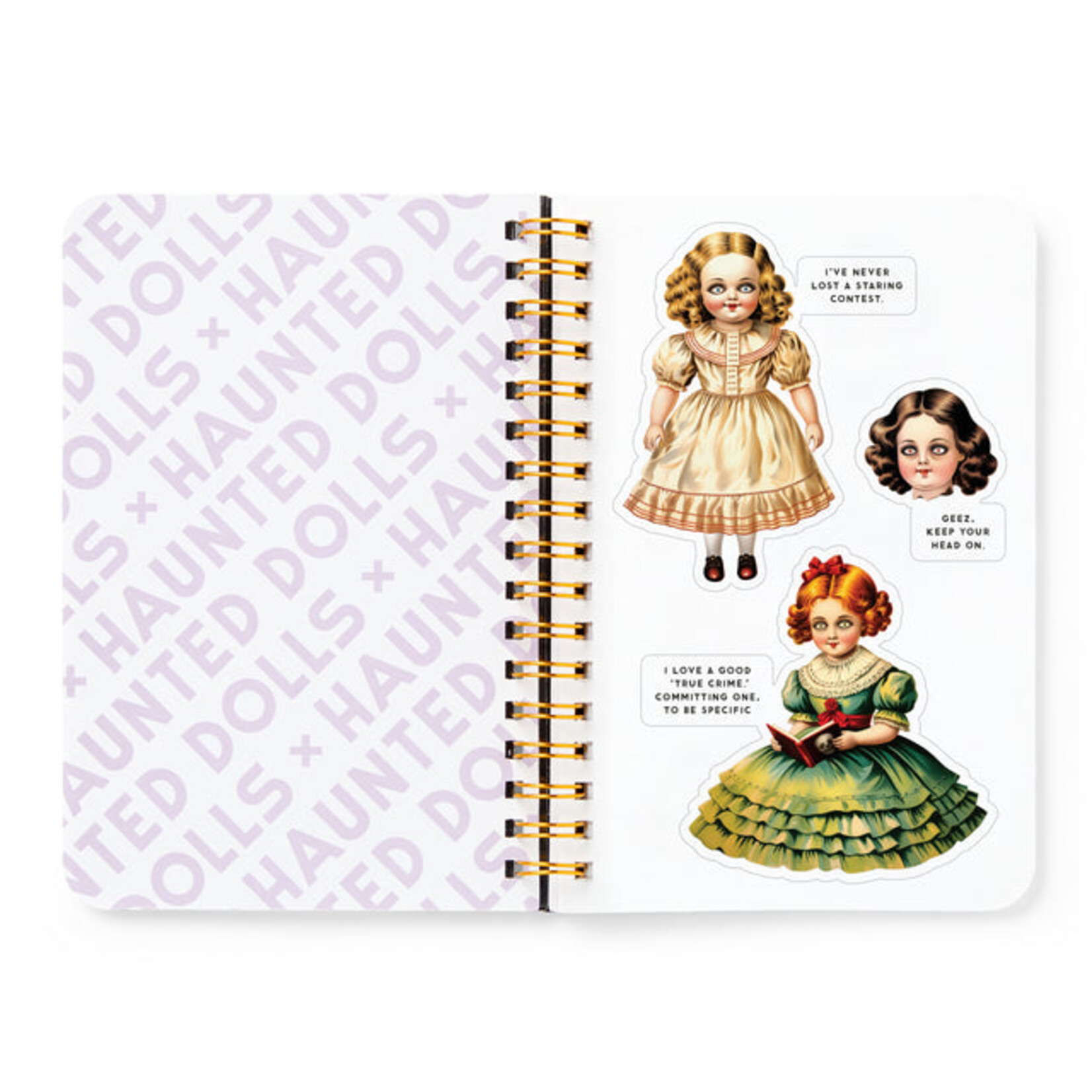 Chronicle Books Haunted Dolls Sticker Book