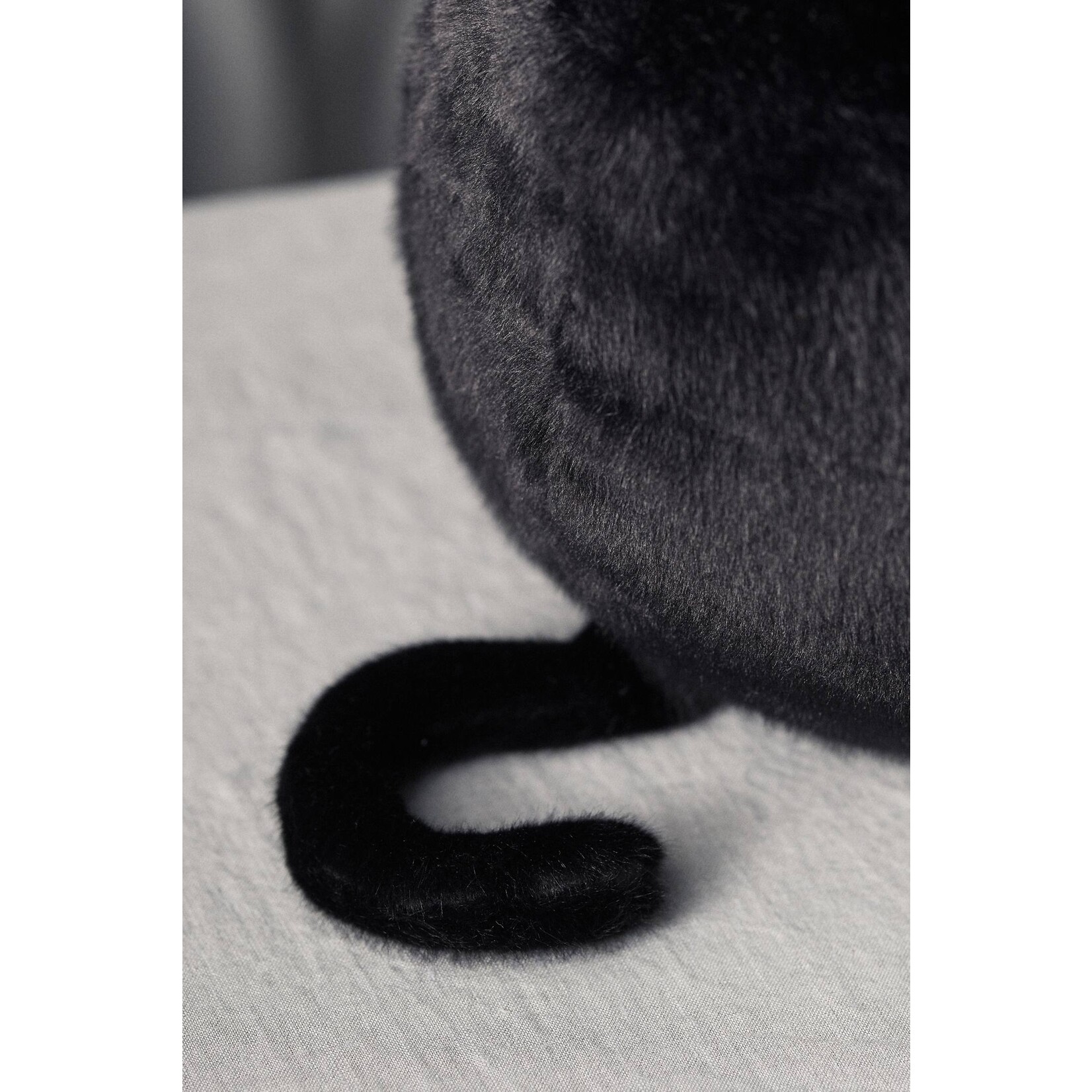 Mon Ami Black Cat