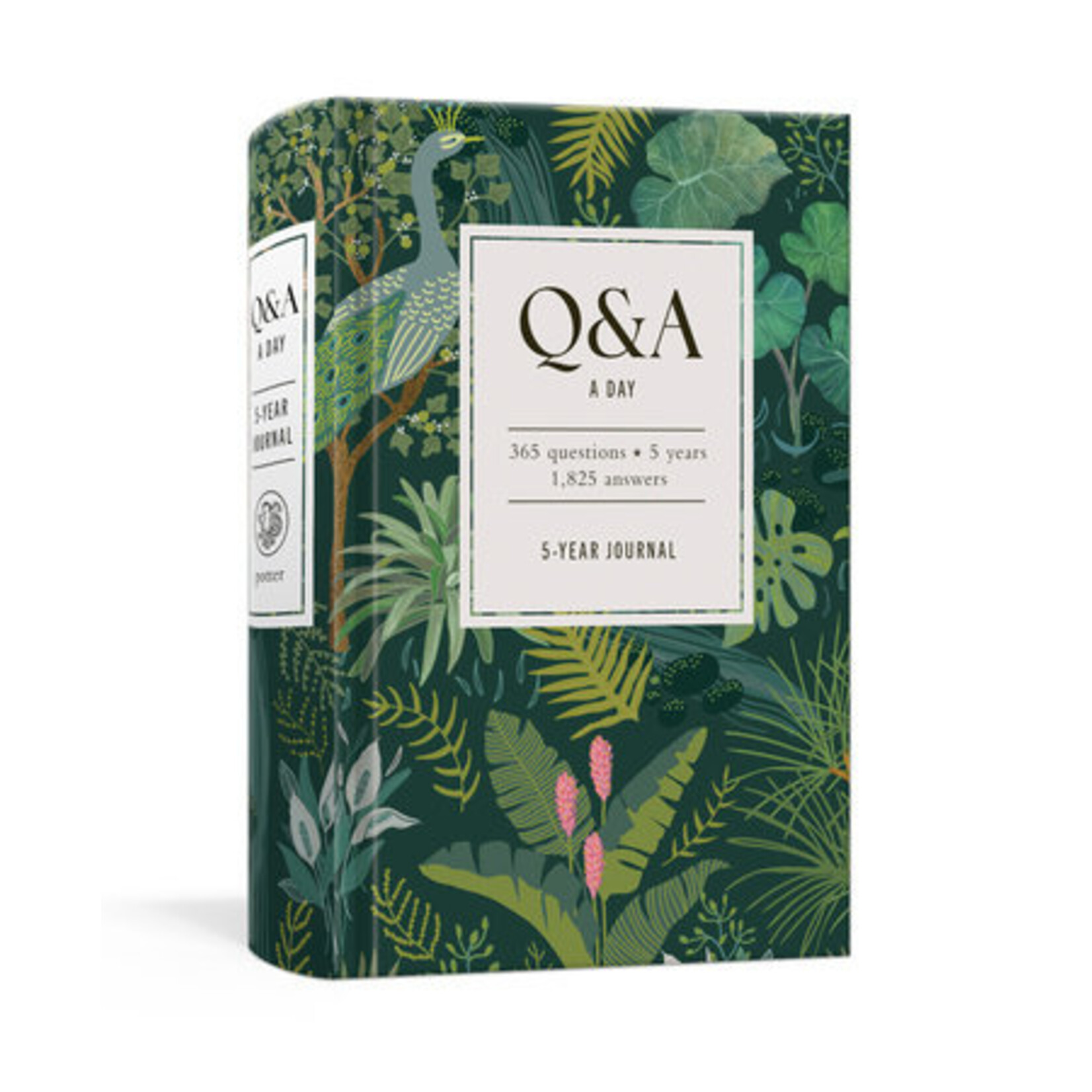 Penguin Random House Q & A A Day Tropical