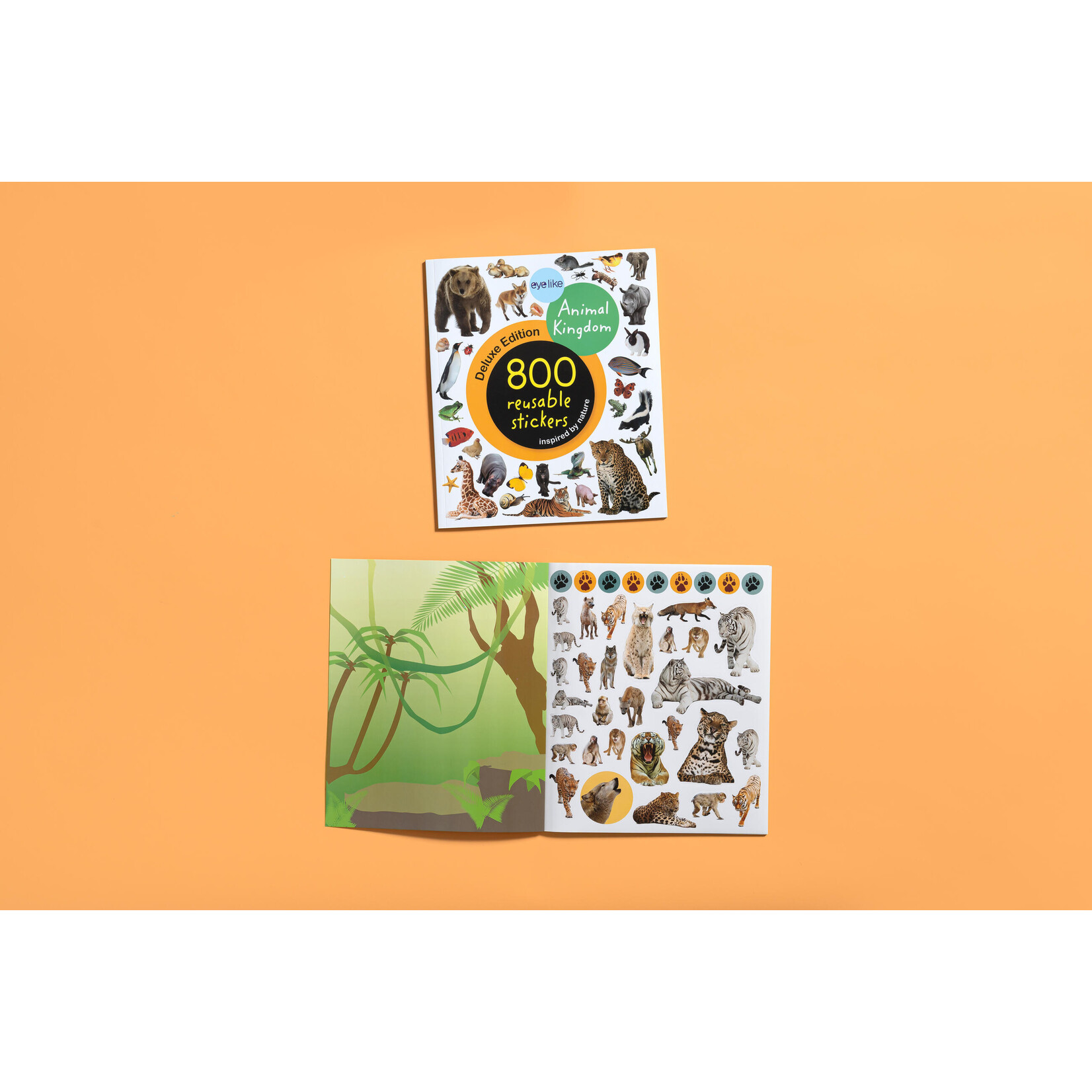 Hachette Animal Kingdom 800 Reusable Stickers