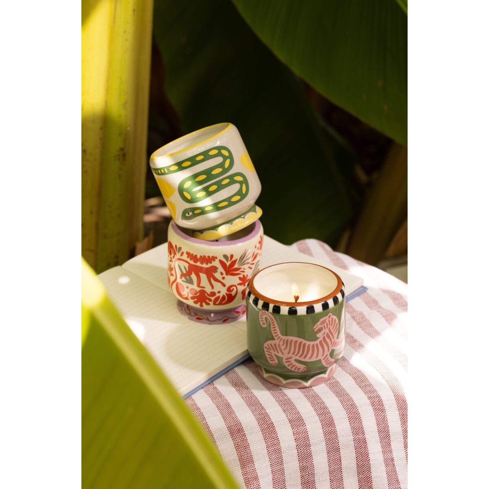 PADDYWAX Jungle Coconut & Amber A Dopo Candle
