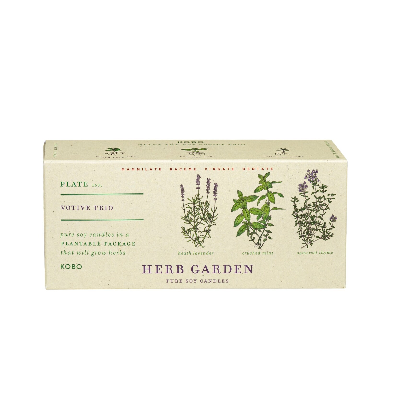 Kobo Candles Herb Garden Trio Kobo Seed Candle Set