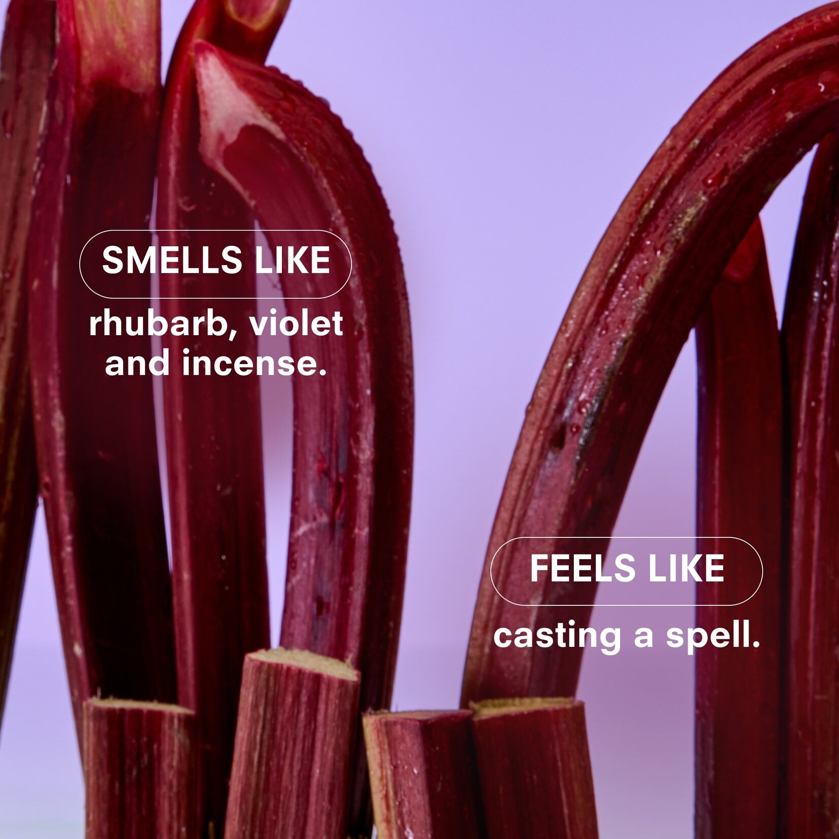 Boy Smells Violet Ends Boy Smells Fragrance