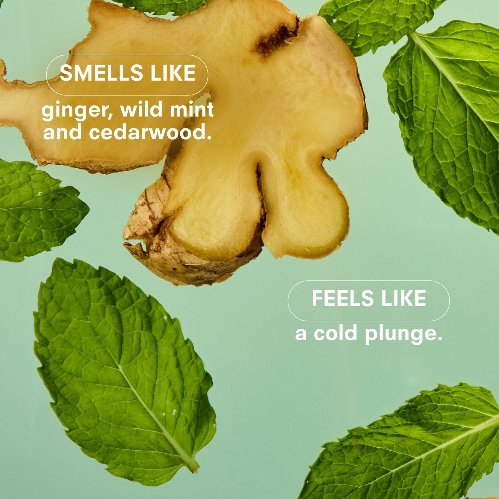 Boy Smells Minty Boy Smells Candle