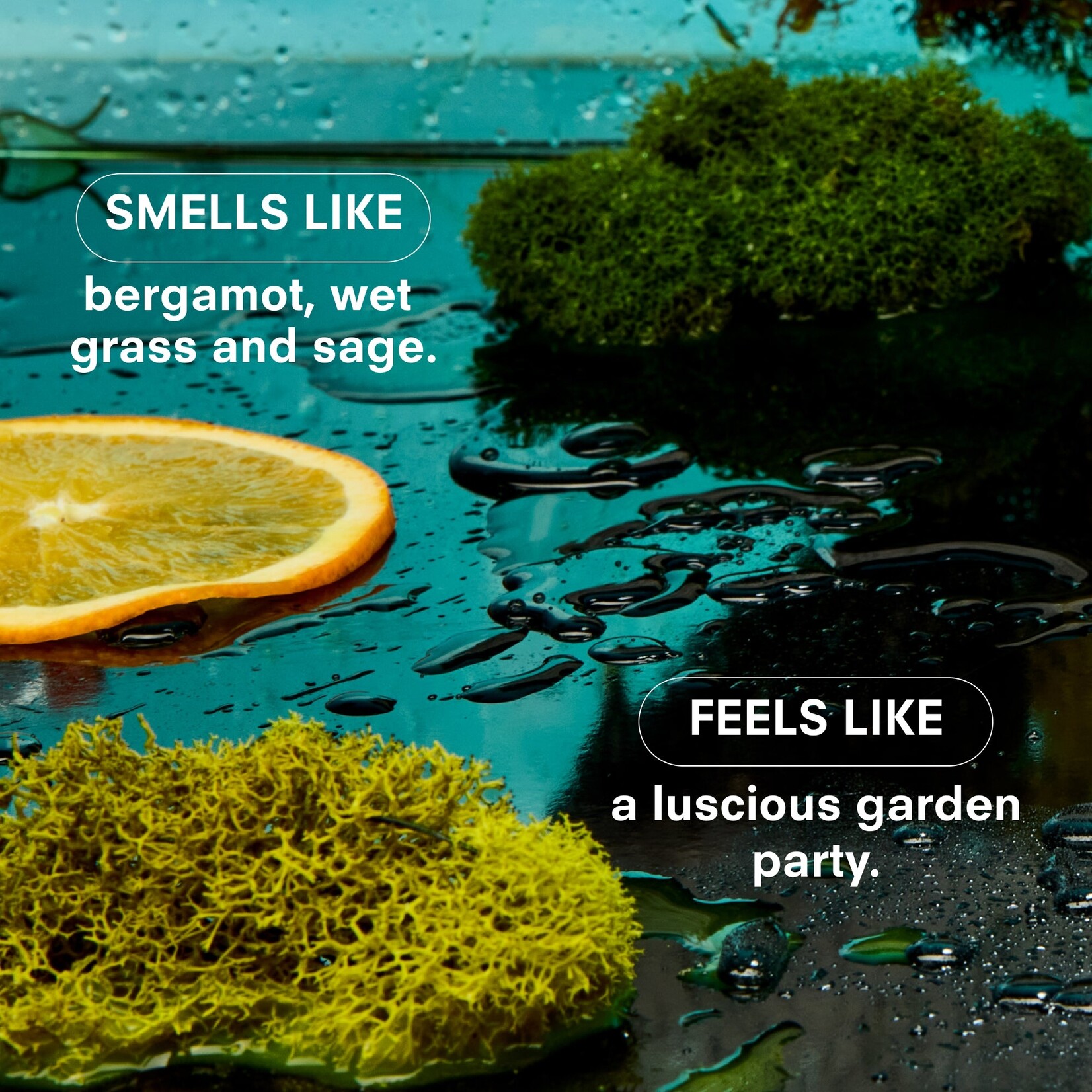 Boy Smells Herbaceous Boy Smells Candle