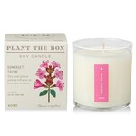Kobo Candles Somerset Thyme Seed Candle