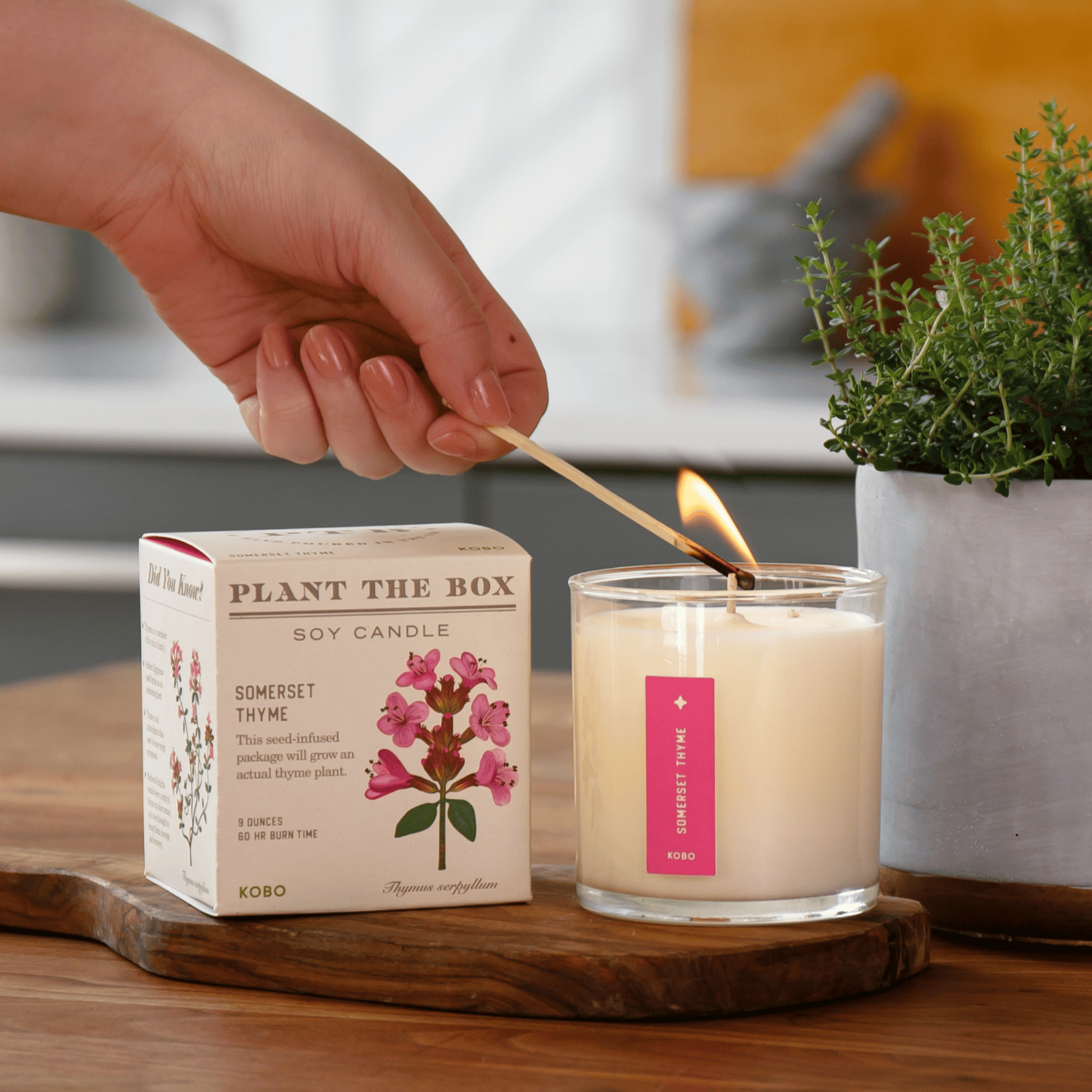 Kobo Candles Somerset Thyme Seed Candle