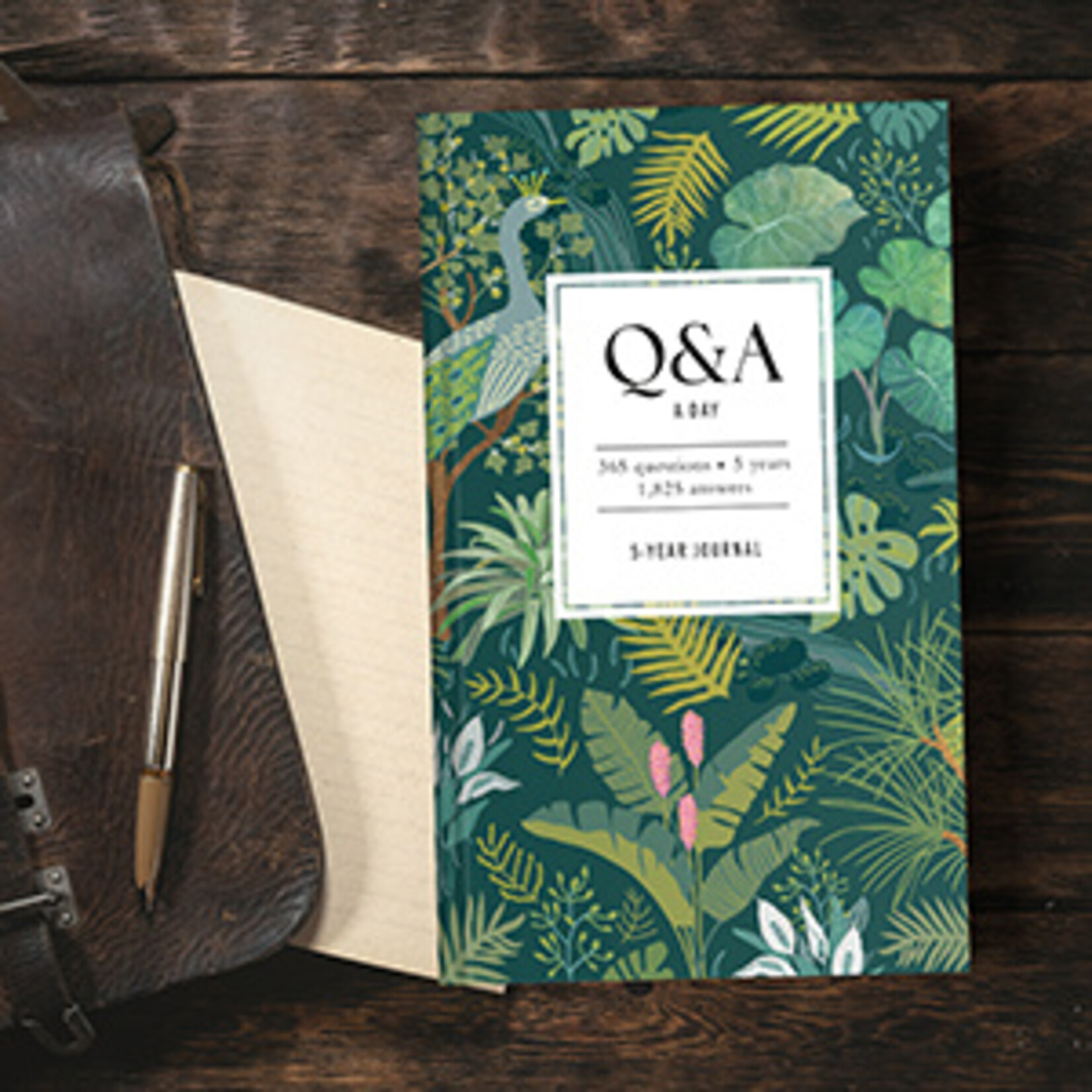 Penguin Random House Q & A A Day Tropical