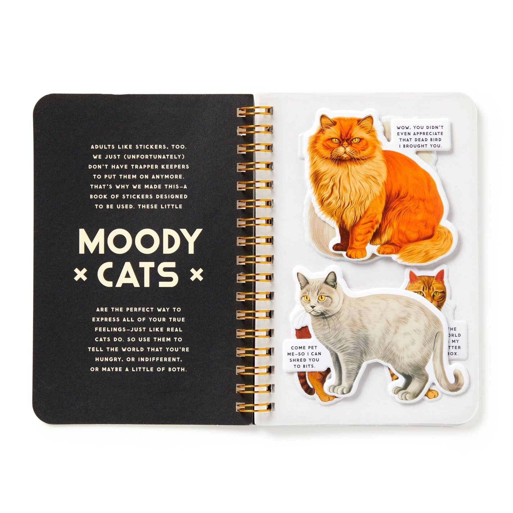 Chronicle Books Moody Cats Sticker Book