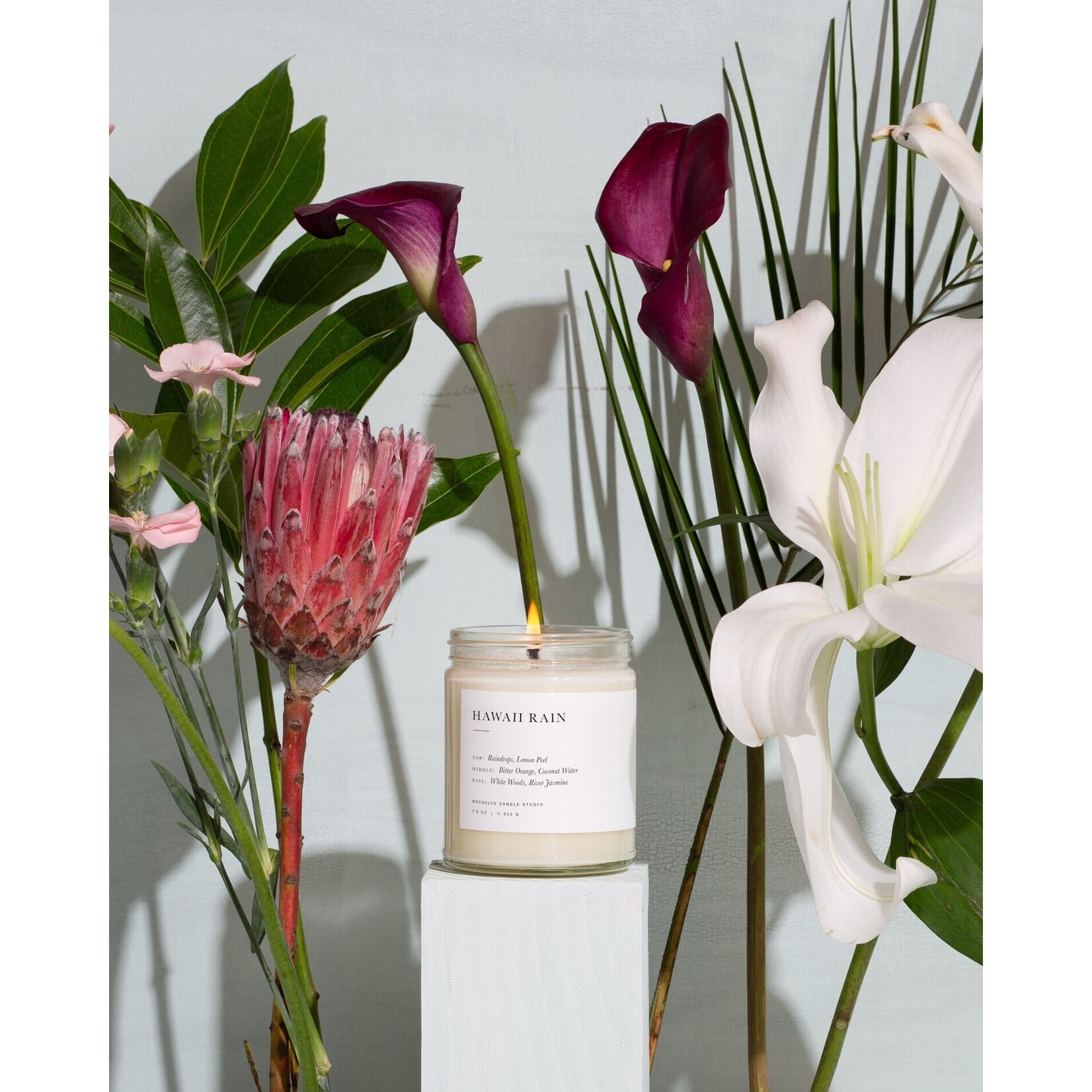 Brooklyn Candle Studio Hawaii Rain Minimalist Candle