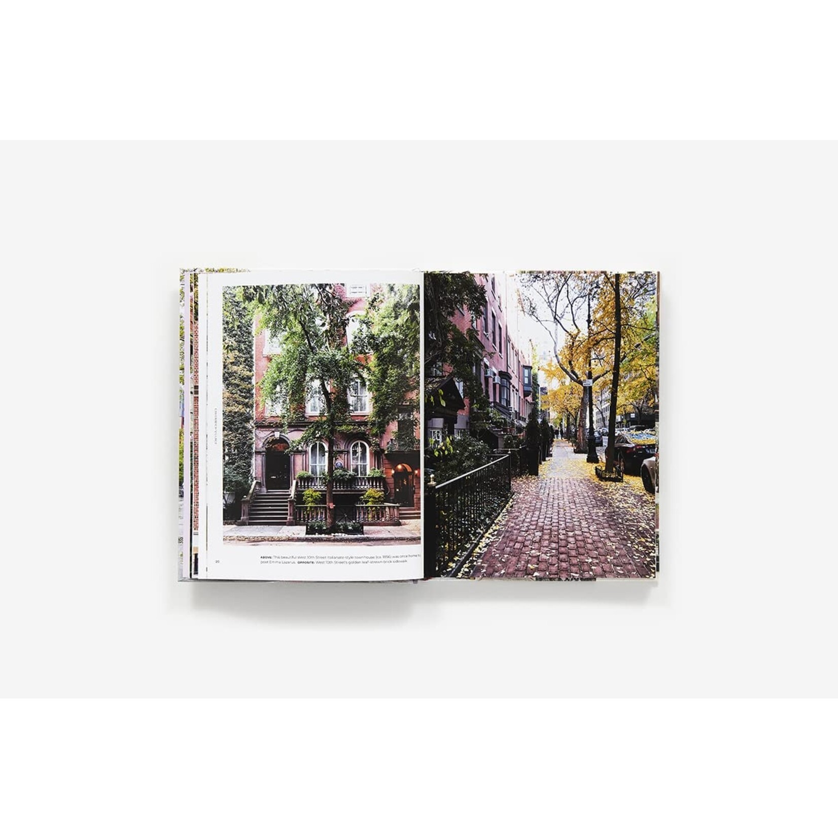 Abrams Walk with Me: New York