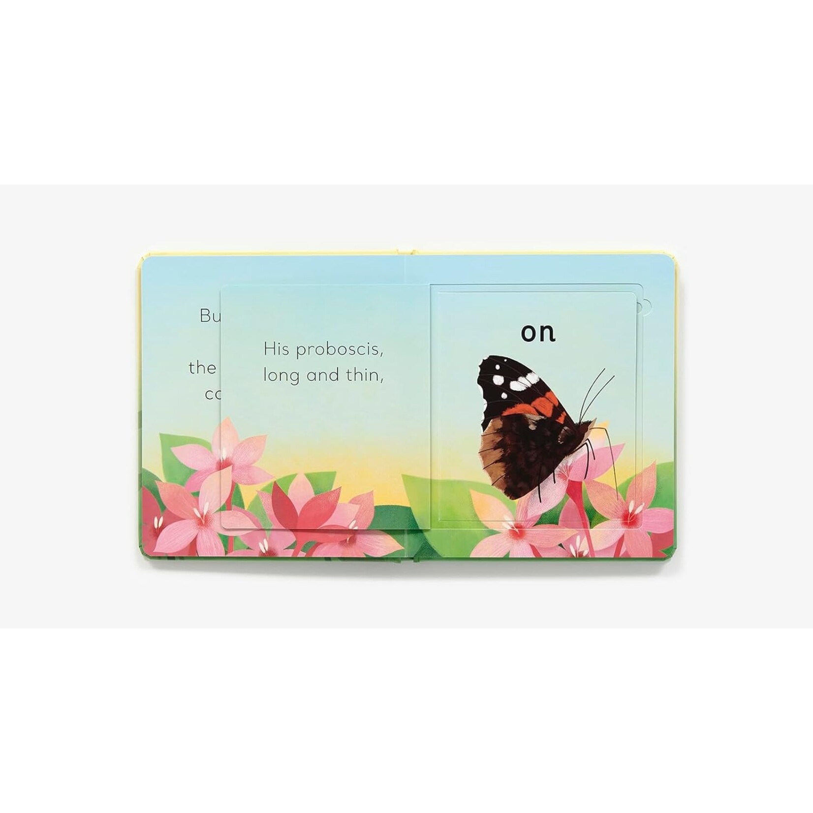 Abrams In The Garden