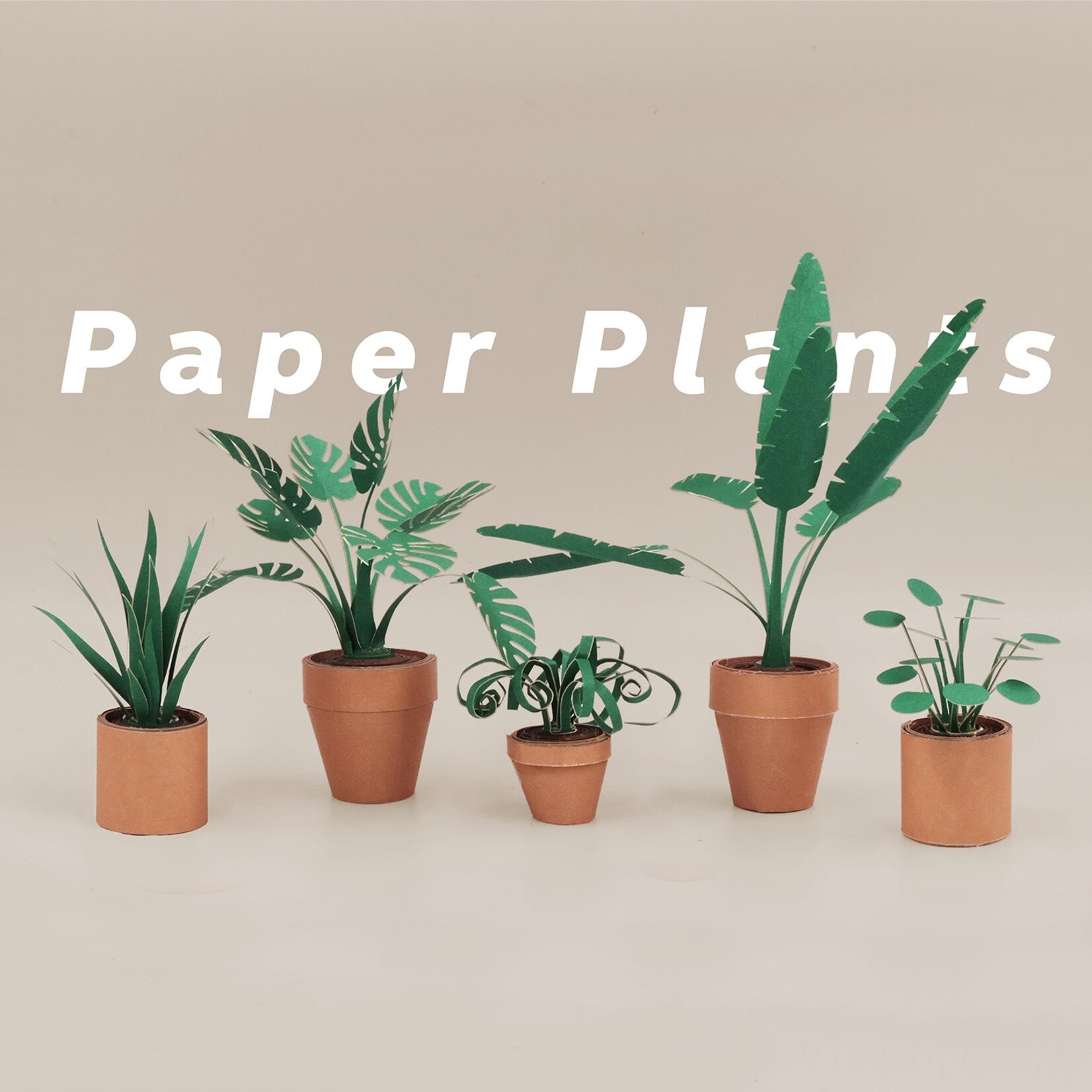 Pikkii Paper Plants Origami