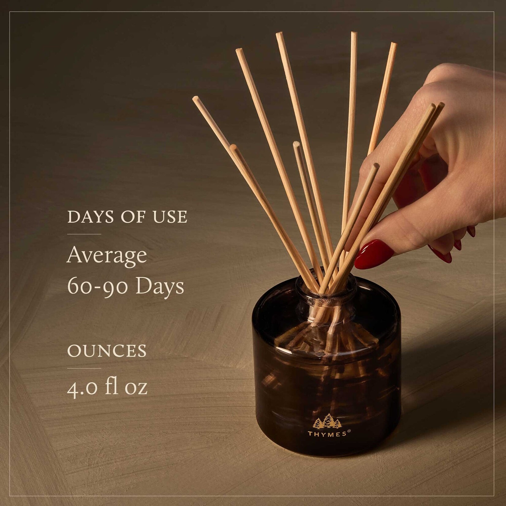 Thymes Noir Woods Petite Diffuser