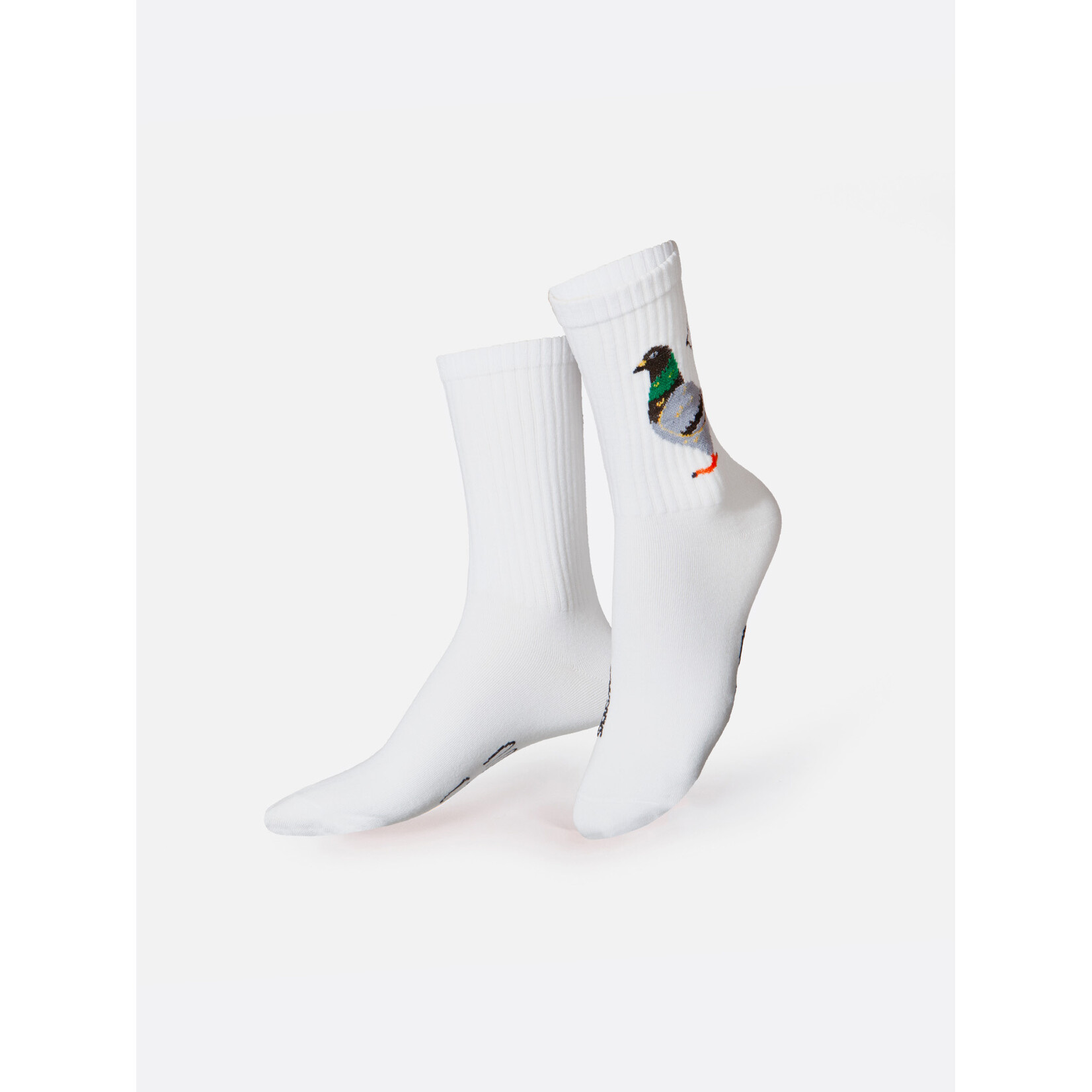 Eat My Socks Pigeon Socks