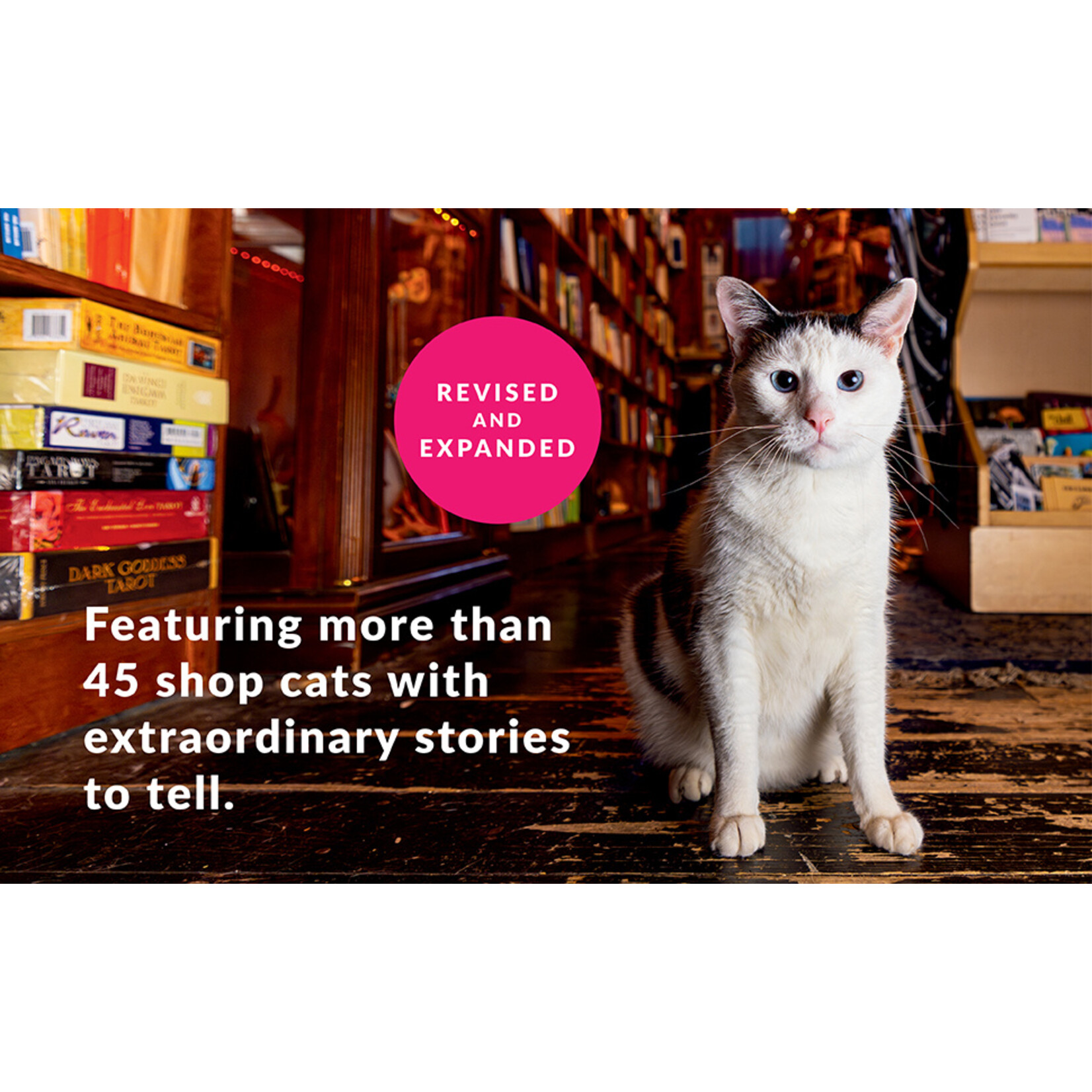 Hachette Shop Cats of New York