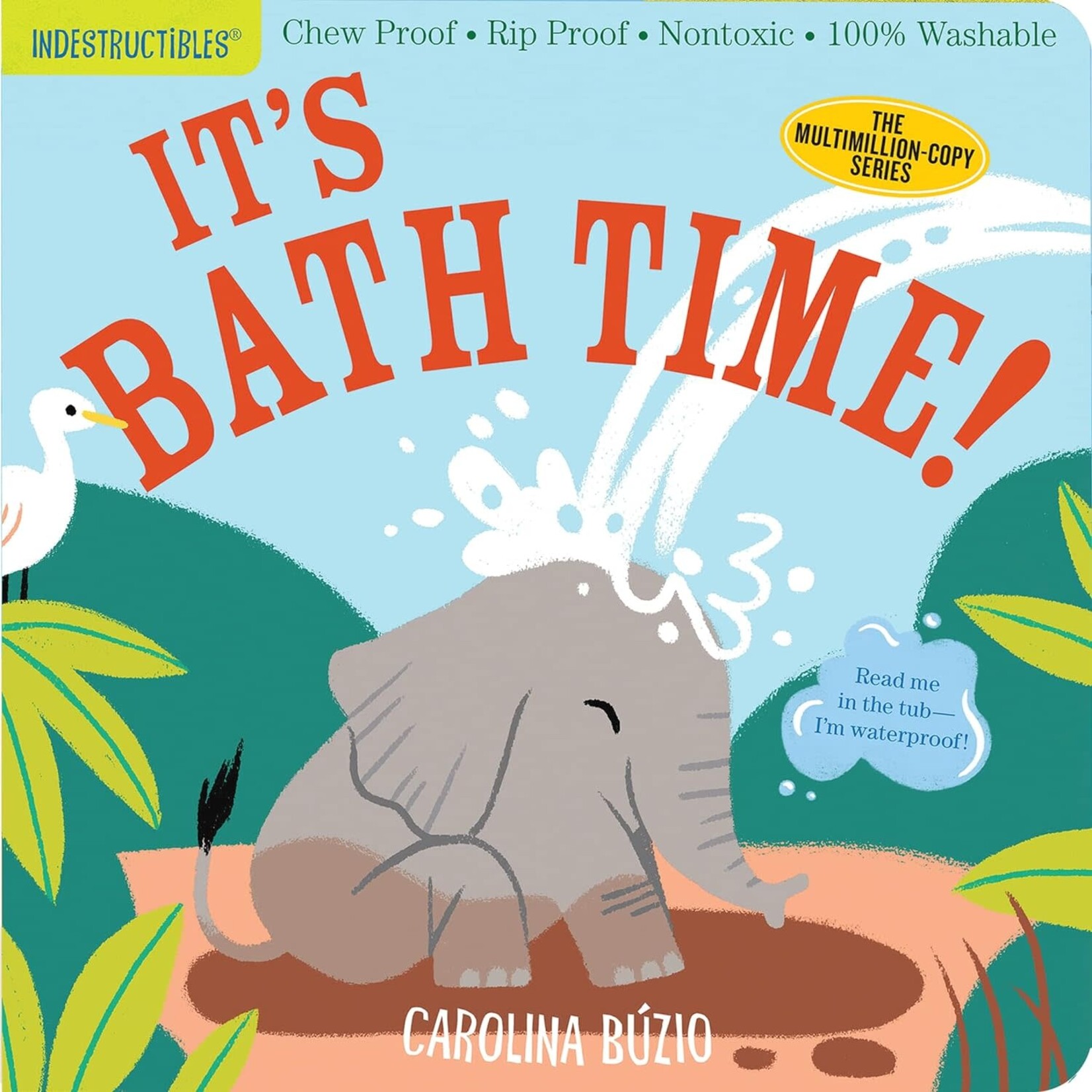 Hachette Indestructibles Book: It's Bath Time!