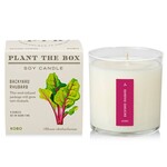 Rhubarb Seed Candle
