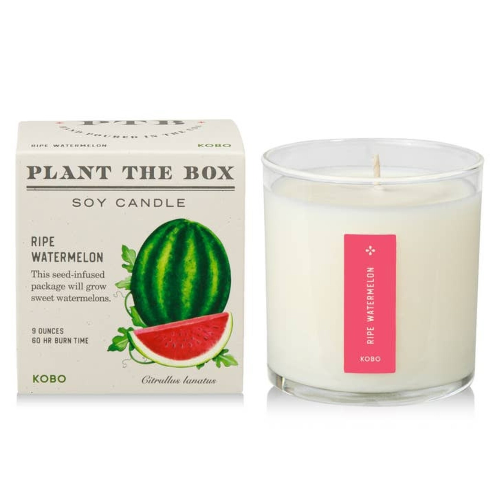 Watermelon Seed Candle