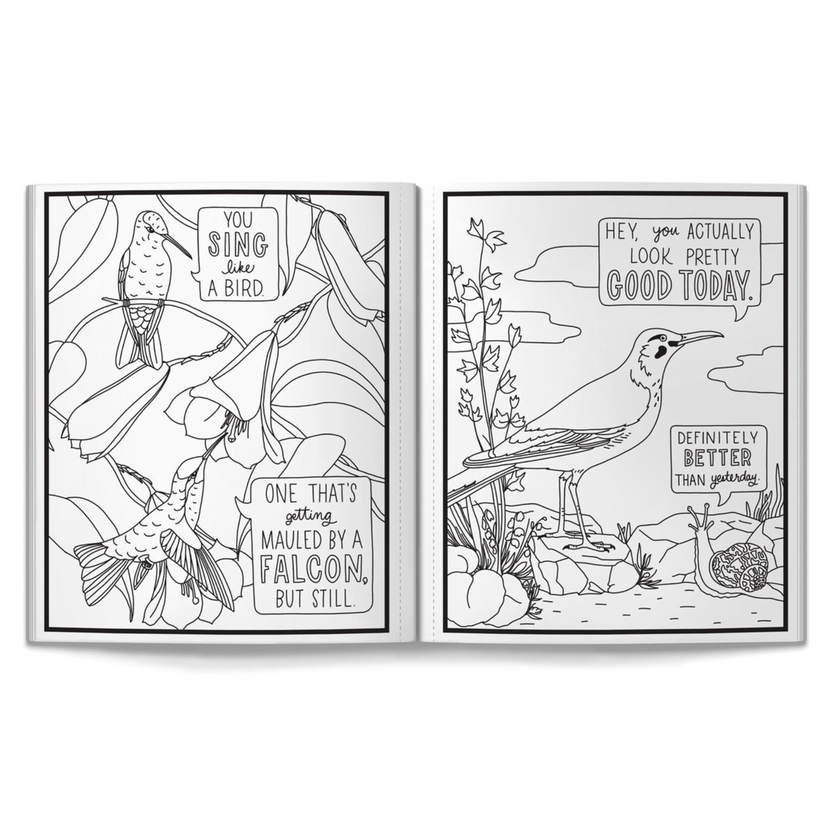 Chronicle Books Salty Birds Coloring Book
