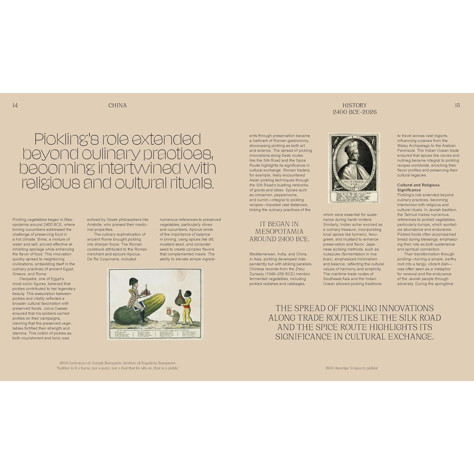 Chronicle Books Pickled City: NY Pickles