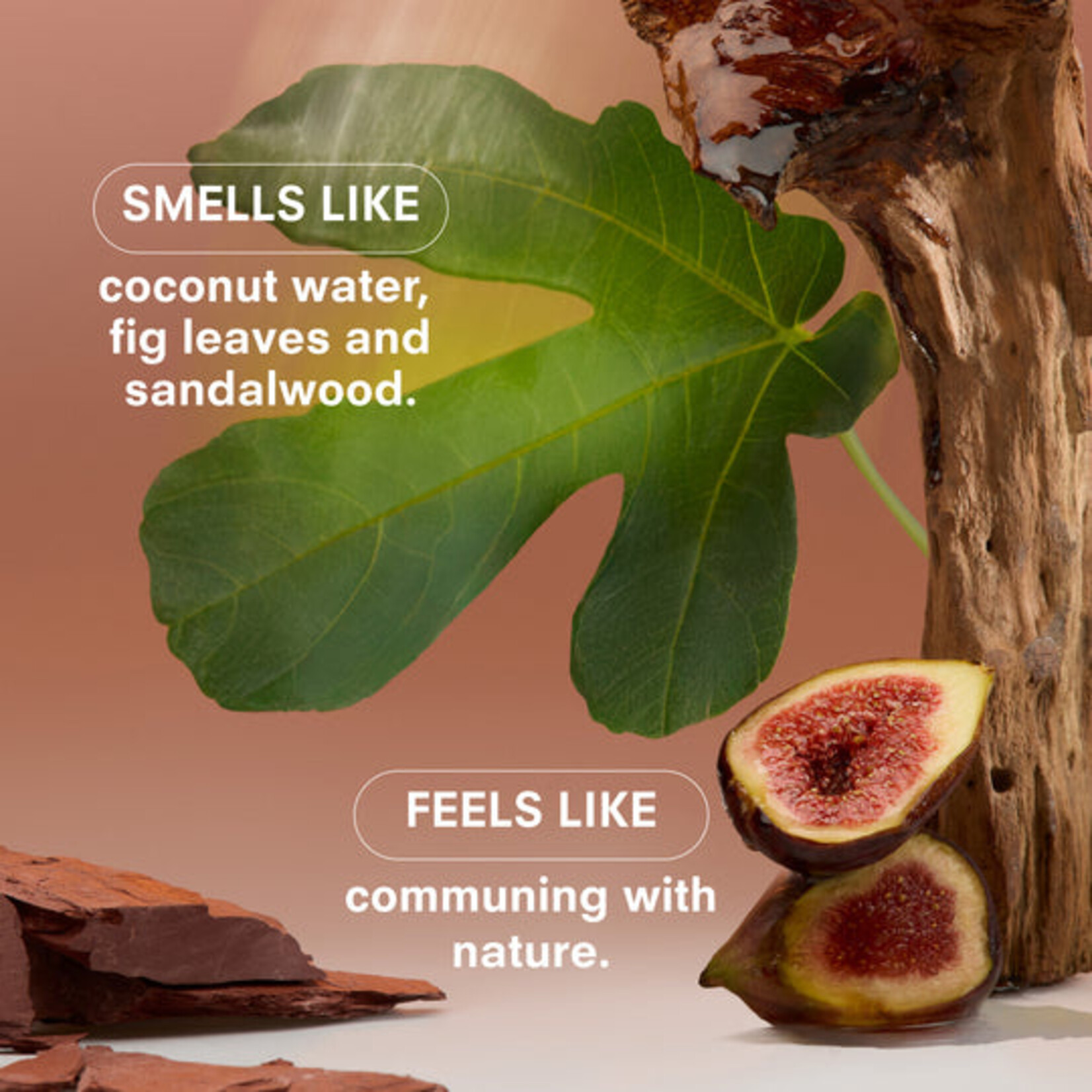 Boy Smells WoodphoriaBoy Smells 10ml Fragrance