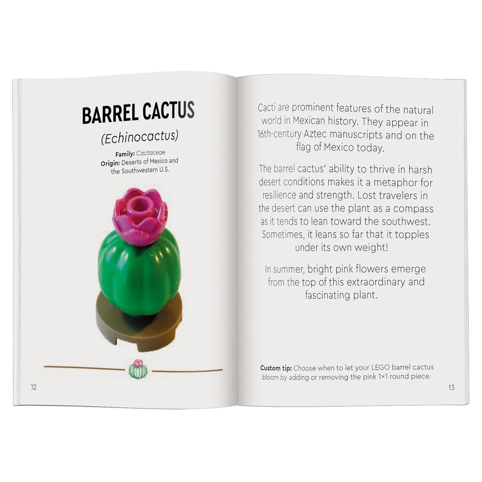 Lego Botanicals Tiny Desert Garden