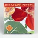 Hudson Valley Seeds Glorious Gleam Nasturtium
